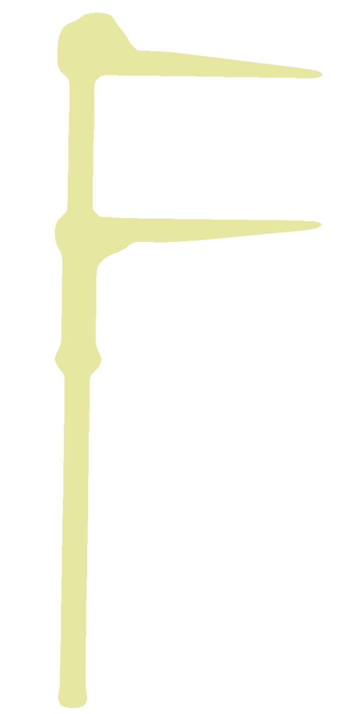 Valorisation forestière